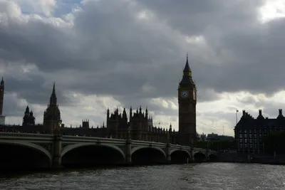 DSC_2811 (Large).JPG